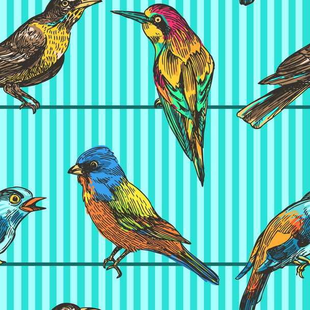 seamless pattern birds - Vector, afbeelding