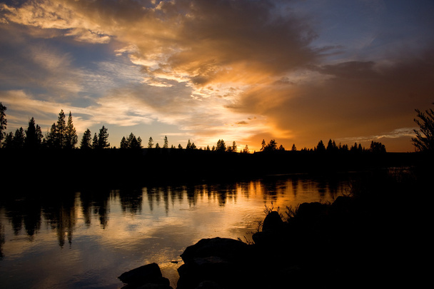 Ποταμός φιδιών στο ηλιοβασίλεμα - Φωτογραφία, εικόνα