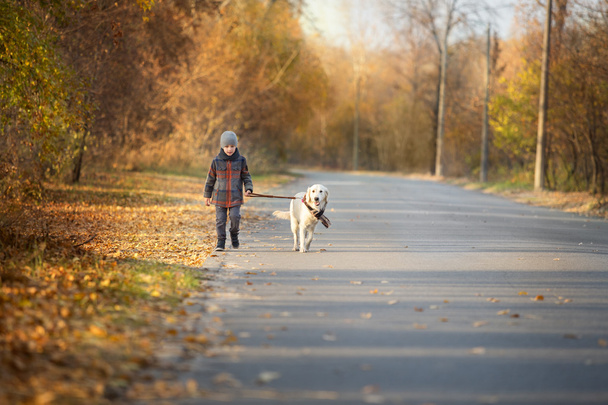 Autumn walk with pet - Фото, зображення