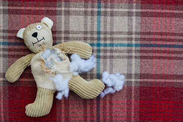 Dışarı asılı doldurma ile yırtık ve sökük oyuncak ayı - Fotoğraf, Görsel