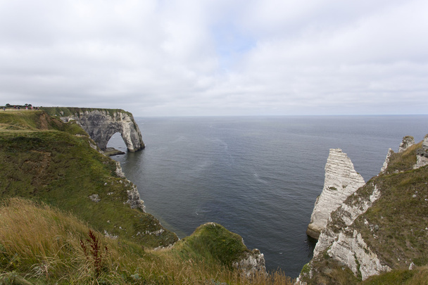 Chalk cliffs at Cote d'Albatre - Photo, Image