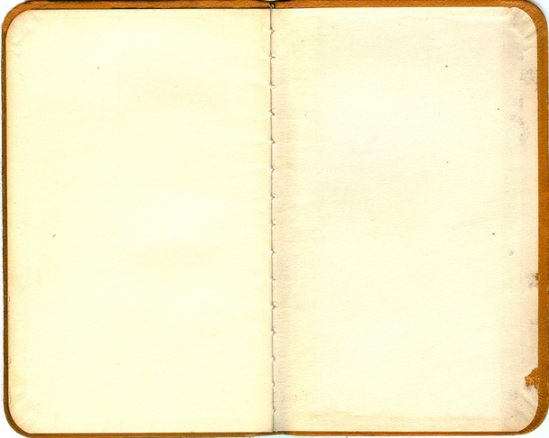 Vintage pagina's van een boek - Foto, afbeelding
