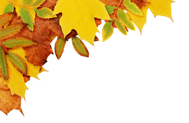 Podzimní pozadí s sušených listů v rohu  - Fotografie, Obrázek