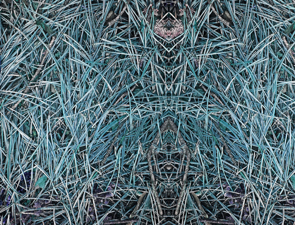 Abstraktní texturu lesa elementů - Fotografie, Obrázek