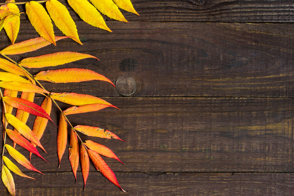 autumn leaves on wooden background - Photo, Image