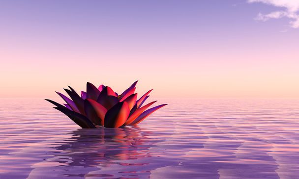 3Dイラスト睡蓮の水と夕日に浮かんで - 写真・画像