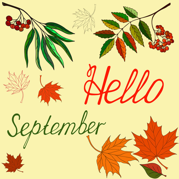  秋の季節のカード、ご挨拶。ベクトル ブラシ レタリング。カスタムの書道とベクトル カード デザイン - ベクター画像