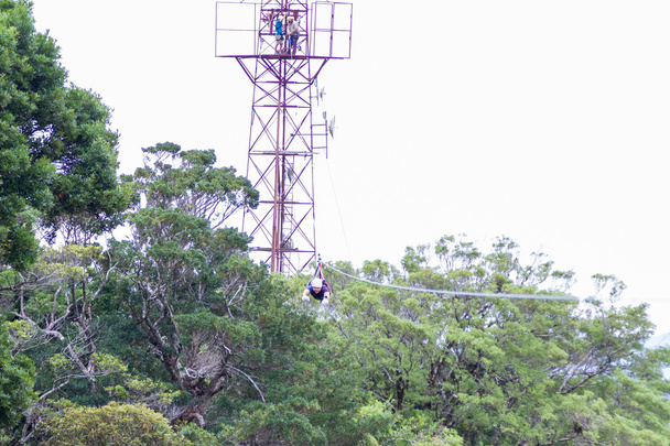 Zip line θόλων Περιηγήσεις στην Κόστα Ρίκα - Φωτογραφία, εικόνα