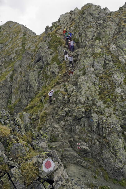 Tekking на карпатські гори, Румунія - Фото, зображення