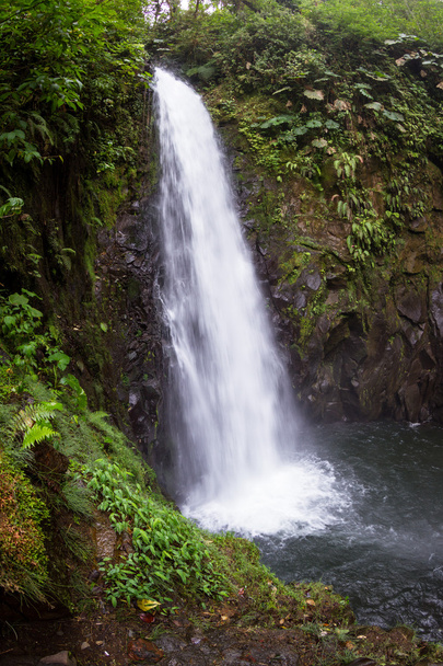 Cascata in Costa Rica  - Foto, immagini
