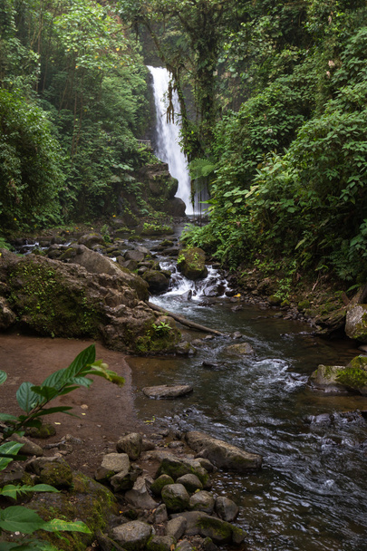 waterfall in Costa Rica  - Fotoğraf, Görsel