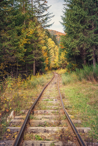 railway road in autumn forest - Fotoğraf, Görsel