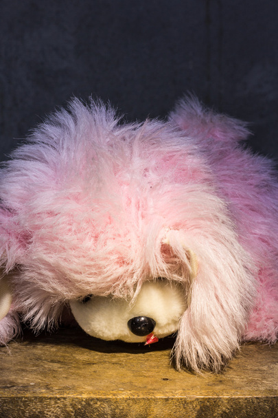 Martwa natura pies ładny różowy brązowy lalka - Zdjęcie, obraz