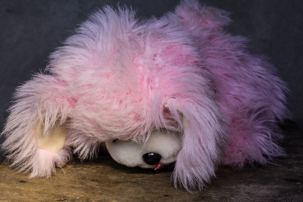 Still life Cute pink dog brown doll - Фото, зображення