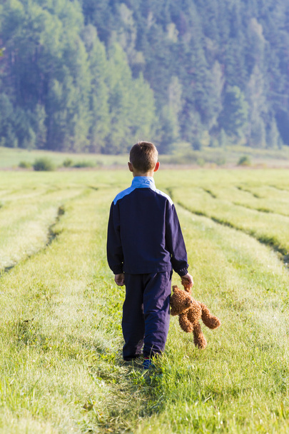 悲しい子が牧草地に茶色テディベアを持っています。背面図。領域をコピーします。悲しみ、恐怖、欲求不満、孤独の概念 - 写真・画像