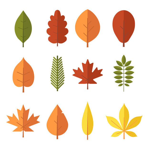 Herbstblätter gesetzt - Vektor, Bild