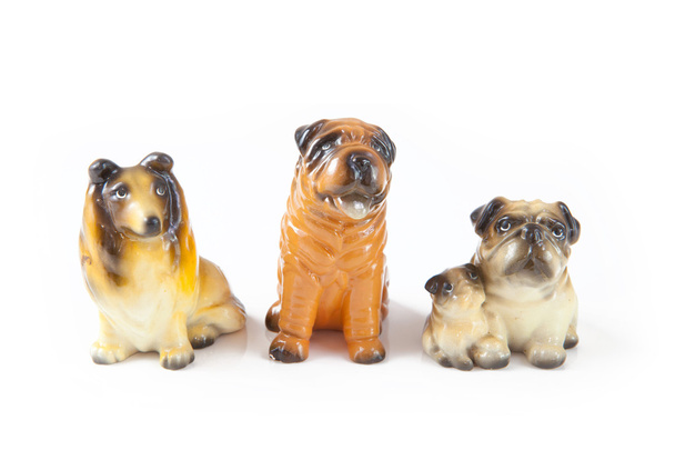 Three toy dog isolated - Foto, afbeelding