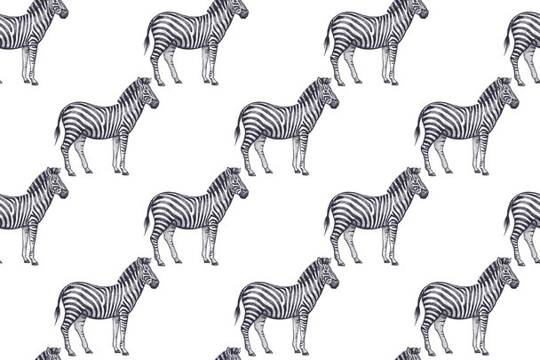 Seamless pattern with African zebras. - Vector, afbeelding