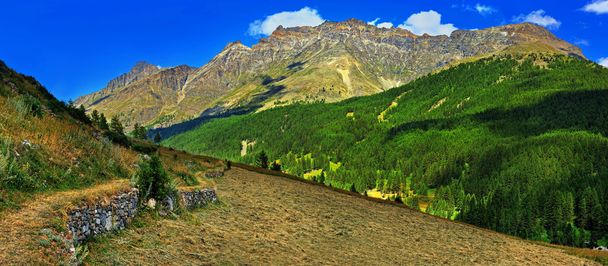 Альпийские горы с сенокосом Ремес Нотр-Дам
 - Фото, изображение
