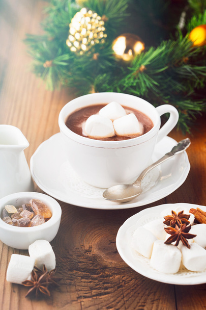 Hot chocolate with marshmallows - Fotografie, Obrázek