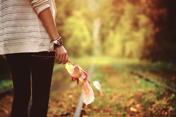 wooman de pé no beco e segurando folhas coloridas de outono em mãos
 - Foto, Imagem