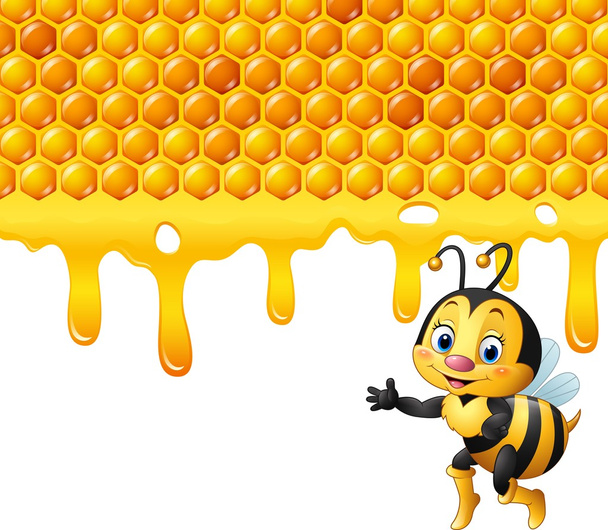 Γελοιογραφία μέλισσα κηρήθρα με μέλι στάζει - Διάνυσμα, εικόνα