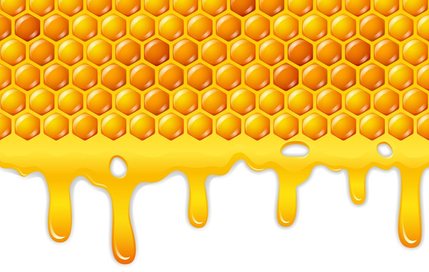 Dessin animé nid d'abeille avec miel goutte à goutte
 - Vecteur, image