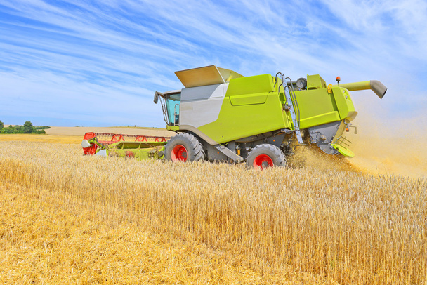 . La cosecha de granos se combina en un paisaje rural
 - Foto, Imagen