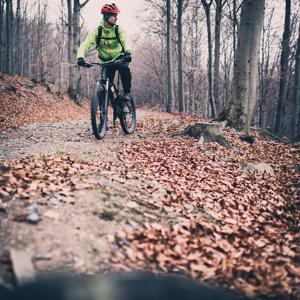 Mountainbiker fietsen op een parcours in de bossen - Foto, afbeelding