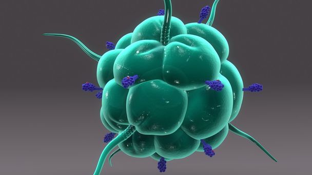 makrofág lidské buňky s receptory - Fotografie, Obrázek