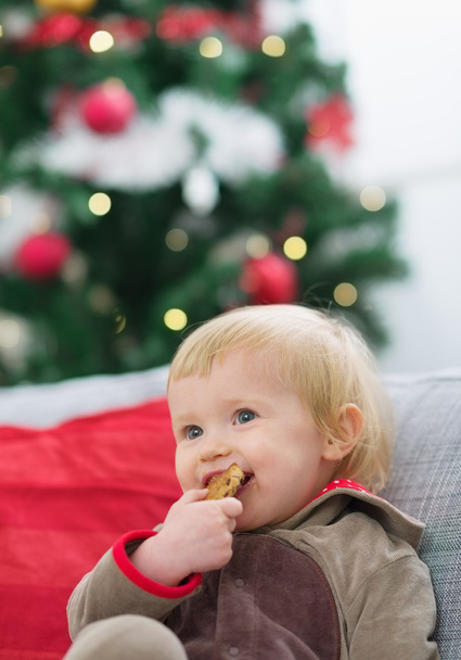 Happy baby eating cookie near Christmas tree - Foto, imagen