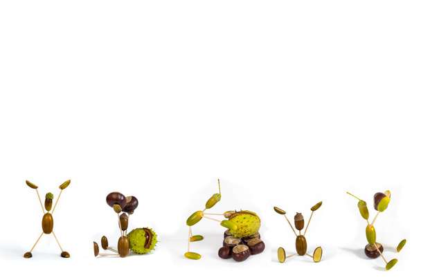 acorn fellows set 3 illustration 3D
 - Photo, image