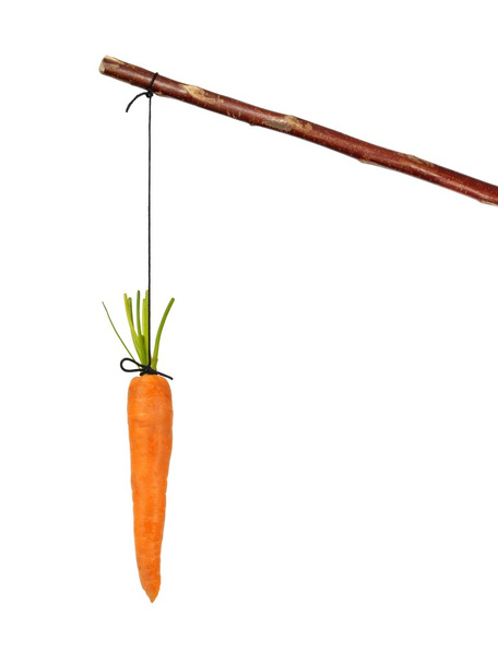 Stick and carrot - Foto, Imagem