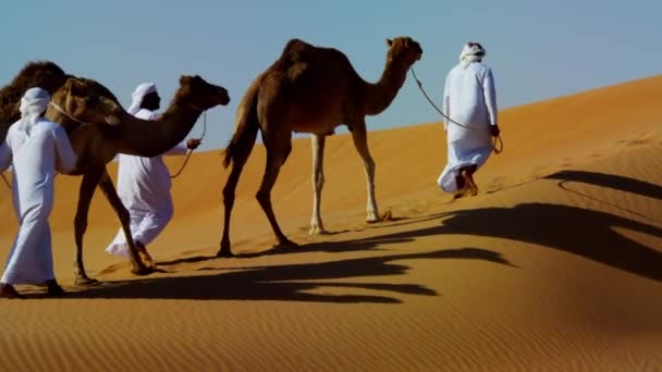 Mężczyźni beduińskich prowadzi wielbłądów przez pustynię - Materiał filmowy, wideo