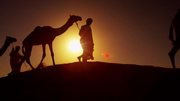 Beduin férfiaknál vezető tevék sivatagon keresztül - Felvétel, videó