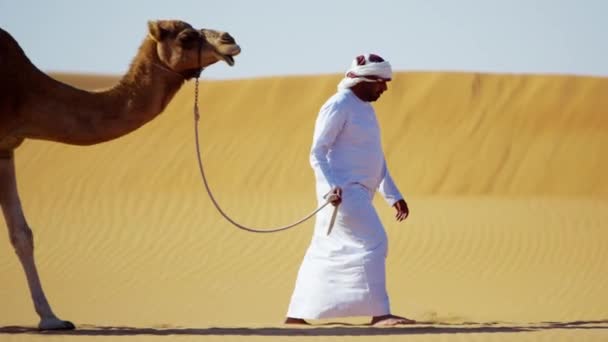camel owner in desert convoy - Footage, Video