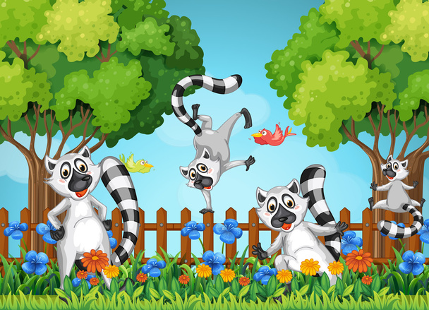 Dört Lemurlar bahçede oynarken - Vektör, Görsel