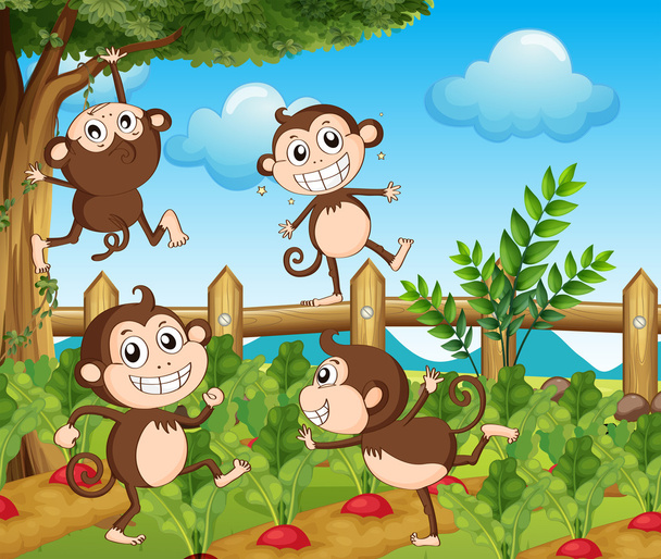 Sebze bahçesinde dört maymunlar - Vektör, Görsel