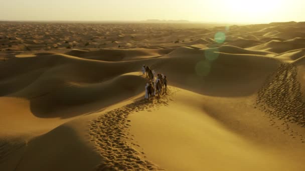 Emiraty mężczyźni prowadzi wielbłądów przez pustynię - Materiał filmowy, wideo