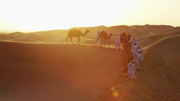 train à chameaux traversant le désert
 - Séquence, vidéo