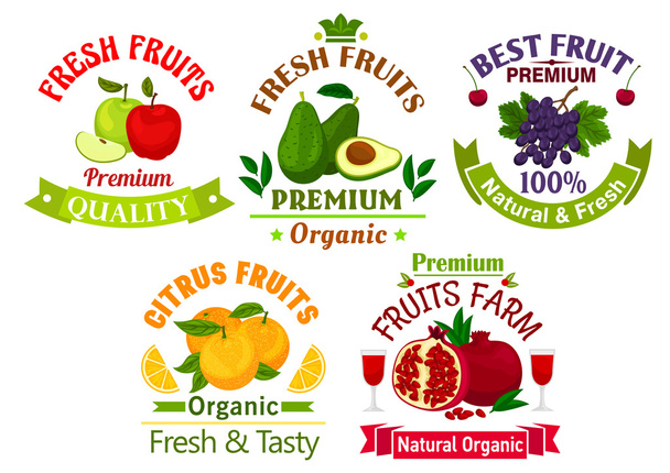 Best fresh juicy fruits stickers and labels - Vector, Image