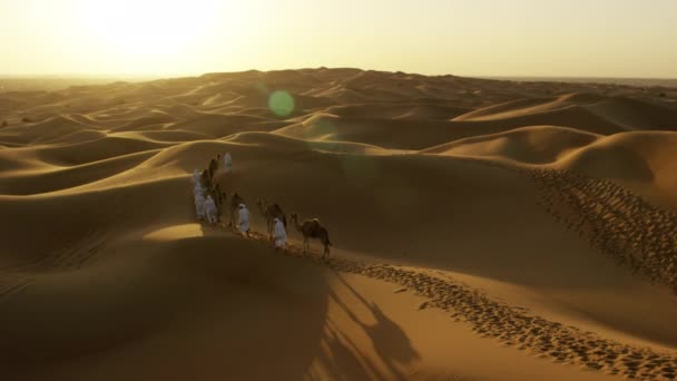 Convoy de camellos viajando por el desierto
 - Metraje, vídeo