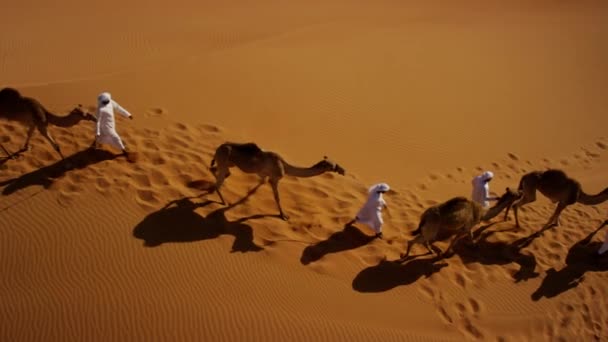 camel owners in desert convoy - Footage, Video