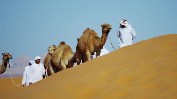 velbloudí vlastníci v pouštní konvoj - Záběry, video