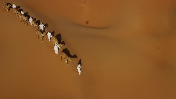 áthaladó sivatagban karaván - Felvétel, videó