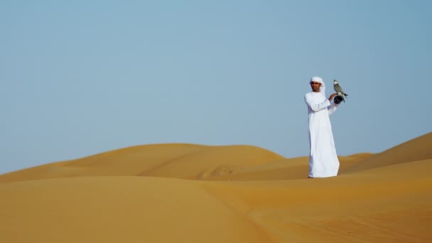człowiek z drapieżny ptak stojący na piaskach pustyni - Materiał filmowy, wideo