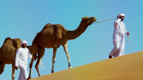 Kameel caravan op reis in de woestijn - Video