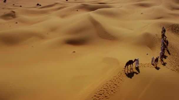 camellos siendo conducidos por manipuladores a través del desierto
  - Metraje, vídeo