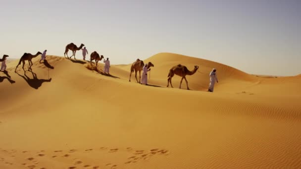 camelos sendo liderados por manipuladores através do deserto
  - Filmagem, Vídeo