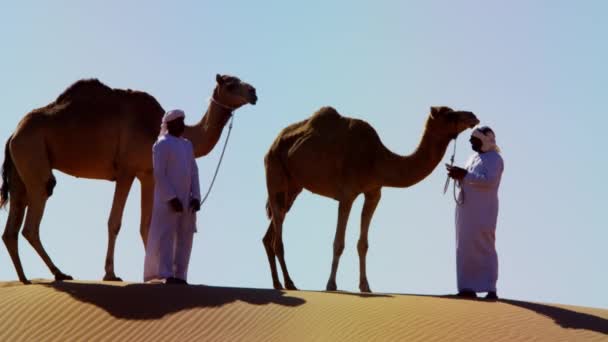 proprietários de camelos no comboio do deserto
 - Filmagem, Vídeo